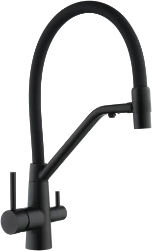 Kitchen faucet for water purifier