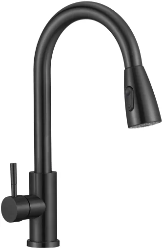 Kitchen faucet