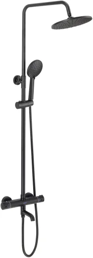 Thermostatic shower system