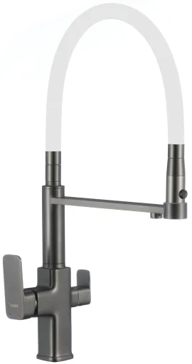 Kitchen faucet for water purifier