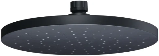 Rain shower head